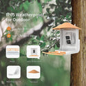 Alimentador de pássaros com câmera e reconhecimento de pássaros AI para o jardim