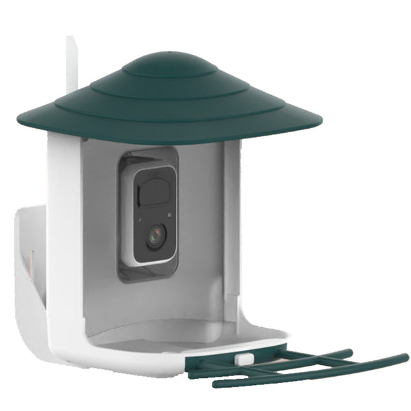 Alimentador de pássaros com câmera e reconhecimento de pássaros AI para o jardim