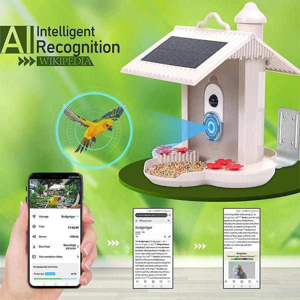 Alimentador de pássaros com câmera e reconhecimento de pássaros AI para o jardim - Com célula solar integrada