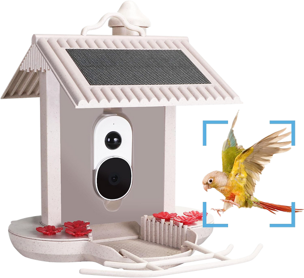 Alimentador de pássaros com câmera e reconhecimento de pássaros AI para o jardim - Com célula solar integrada