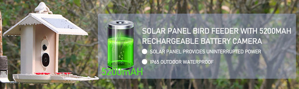 Alimentador de pássaros com câmera e reconhecimento de pássaros AI para o jardim - Com célula solar integrada