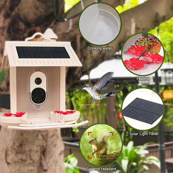 Alimentador de pássaros com câmera e reconhecimento de pássaros AI para o jardim - Com célula solar integrada