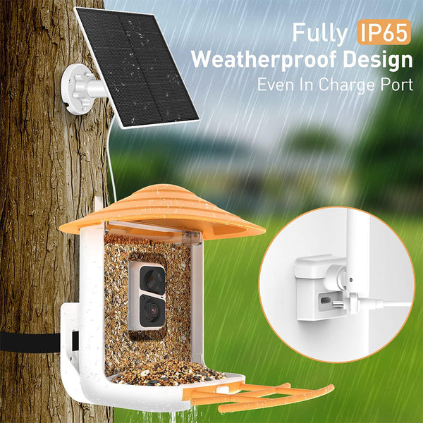 Alimentador de pássaros com câmera e reconhecimento de pássaros AI para o jardim