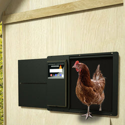 Abridor automático de pele de frango com pele de frango - Modelo luxo - Metal com bateria, células solares e fácil programação