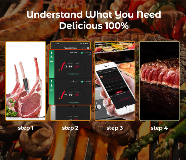 Termómetro para cozinhar e fritar - WIFI com APP para fritar - Repetidor garante uma longa distância entre o telemóvel - Forno, grelhador ou frigideira.