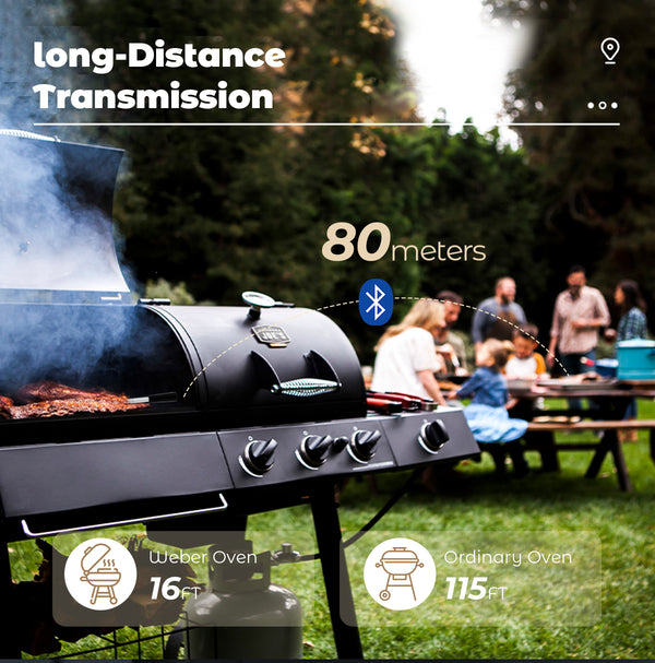 Termómetro para cozinhar e fritar - WIFI com APP para fritar - Repetidor garante uma longa distância entre o telemóvel - Forno, grelhador ou frigideira.