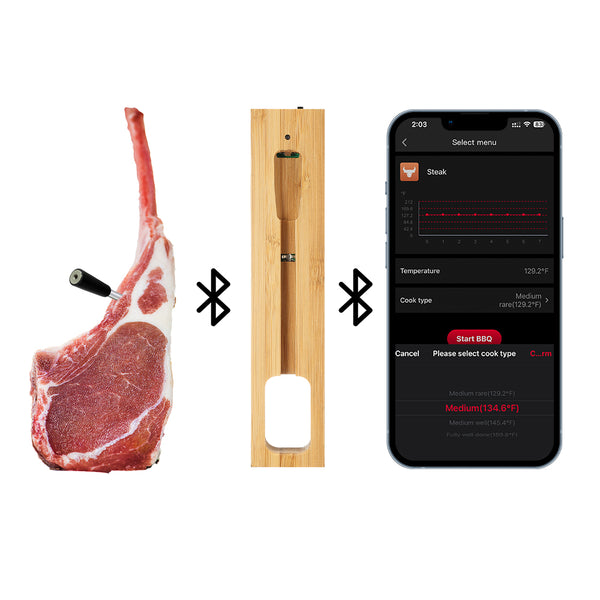 Termómetro para cozinhar e fritar - WIFI com APP para fritar - Repetidor garante uma longa distância entre o telemóvel - Forno, grelhador ou frigideira.