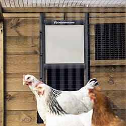 Chicken hatch for chicken houses - Chicken Guard