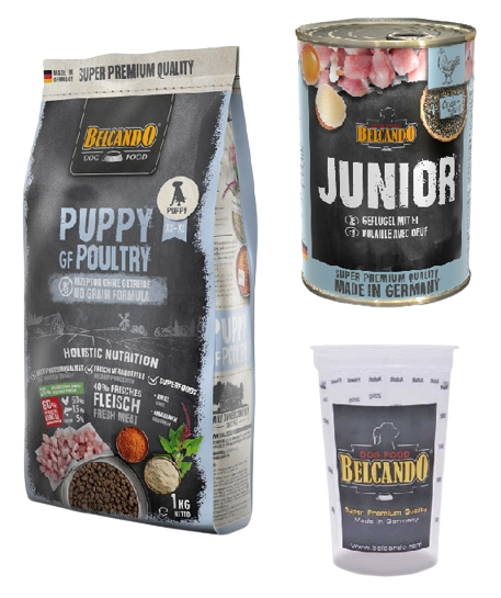 Belcando caixa de cachorro com produtos