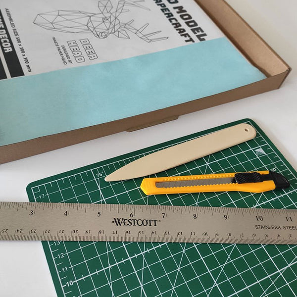 DIY/faça você mesmo Dinossauro - Triceratops